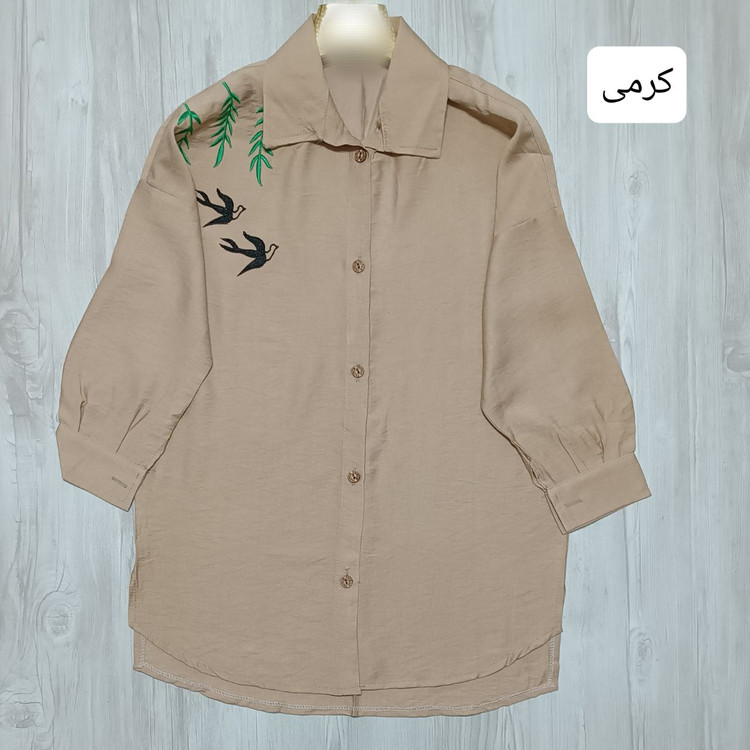 مشاهده قیمت و خرید شومیز مانتویی مدل طبیعت کد 69728