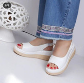 مشاهده قیمت صندل طبی هدیه کد ۳۳۱۵